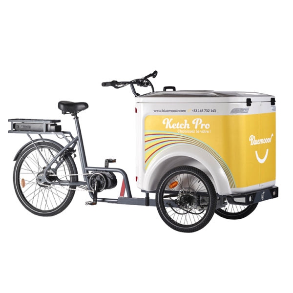 Urban Rider Achat Triporteur Electrique Vélo Triporteur Triporteur Ã